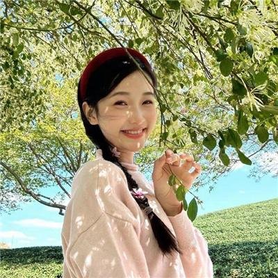 夏洛特 海报